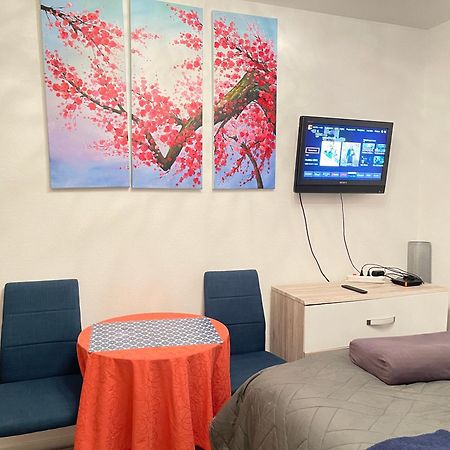 Top Studio Full Optional Saint Louis Vicino Stazione Saint Louis 68300 France Ngoại thất bức ảnh